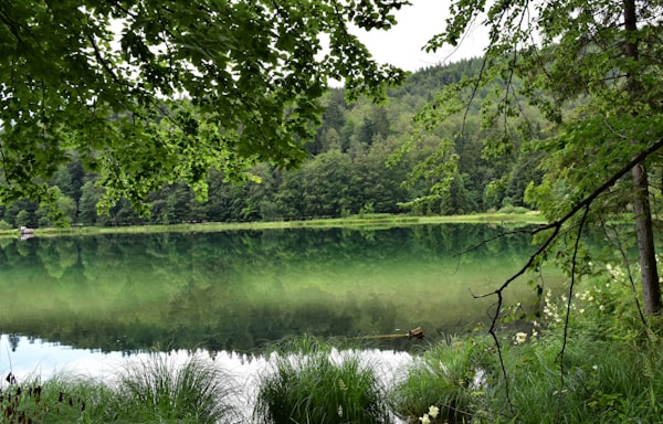 Natursee umgeben von Bergen